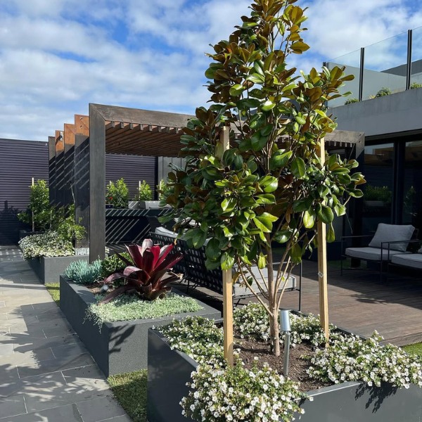 Alfresco design Melbourne