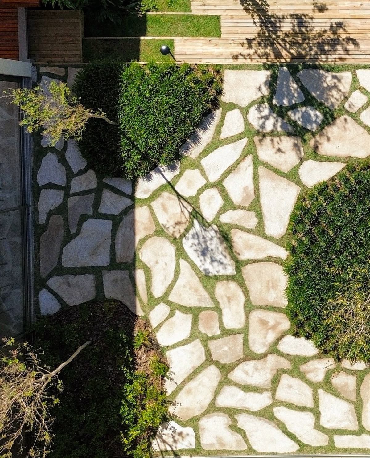 Planting design by Edge Landscapes Melbourne